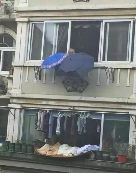 暖先生格调■官宣! 三高考大省明确开学时间! 高三很苦！如果撑不下去的时候，看看这20张图！