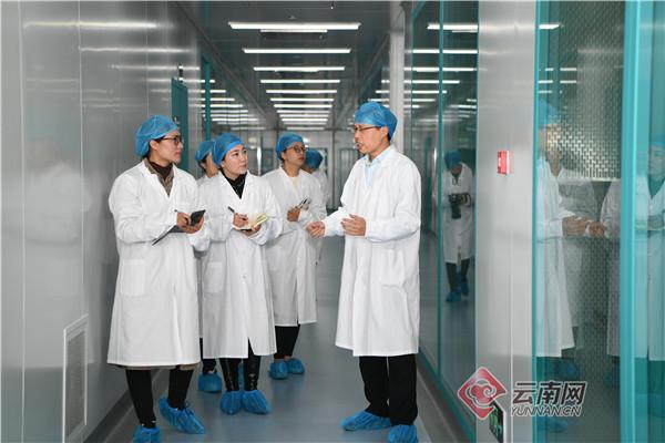 玉溪|名企名品看玉溪｜沃森：“我们的梦想在这里实现”