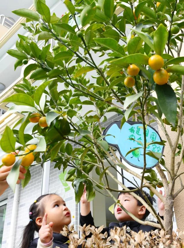 步行10分钟 家门口的“普惠托育”呵护最柔软人群