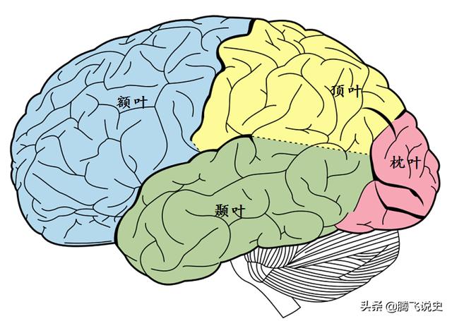 无人机大战，炸死了人，谁赔偿？人类是一个载体，智人即将消亡？