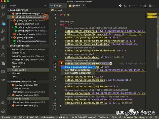 Go Module有漏洞？免费的Go漏洞扫描VSCode插件