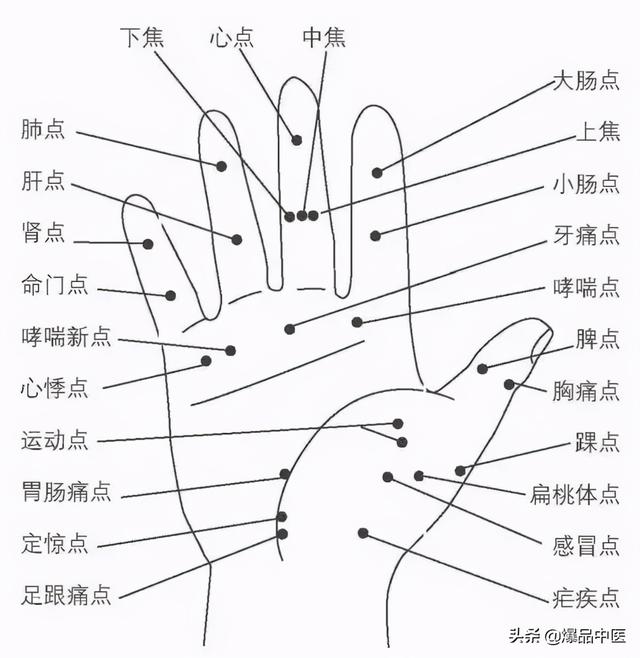 全身穴位治疗口诀大全，配图精华版