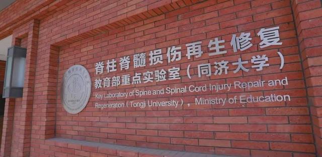研究|同济大学附属同济医院博士后招聘启事