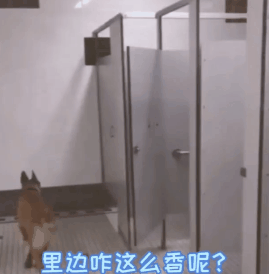 开心一刻:电视机正确的玩法?大神:我一直以为电视机是