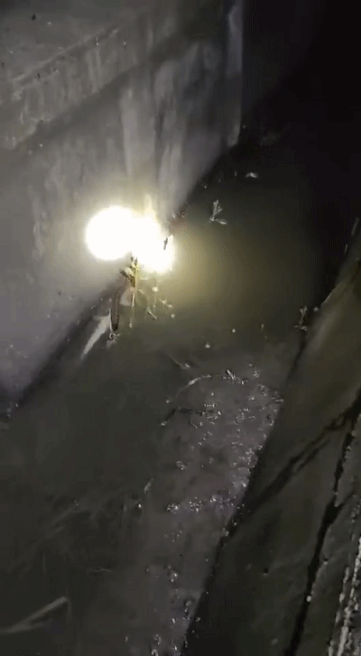 短短的3个小时, 小朱在抓黄鳝的过程中, 一共偶遇了7条蛇, 根据小朱