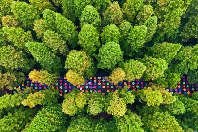 休闲|崇明这项上海之最，你必须知道