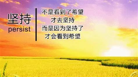 每天学一点东西