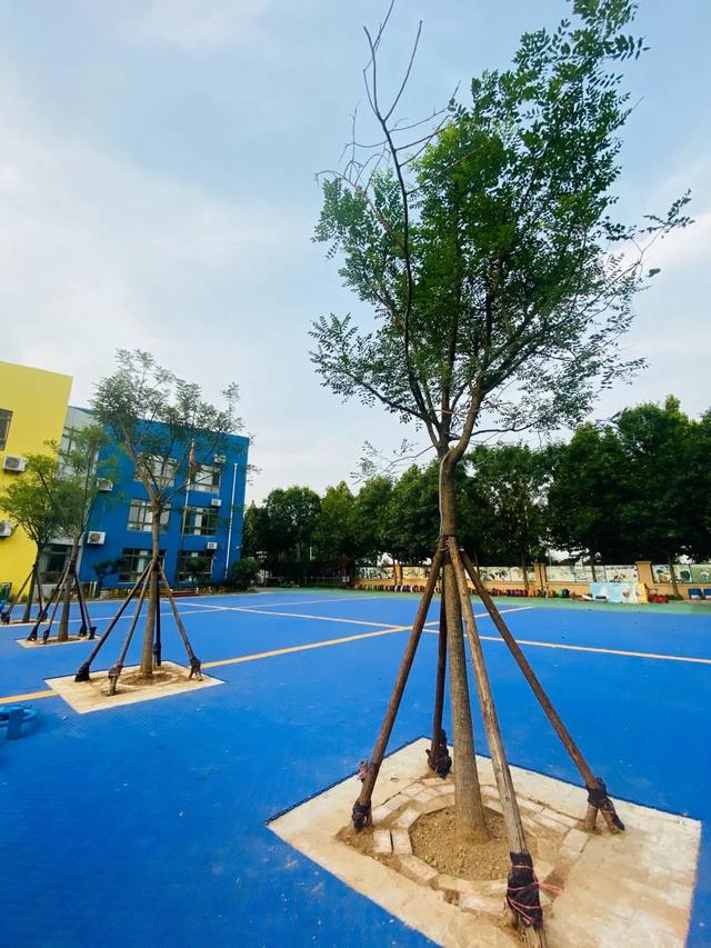 齐鲁东营资讯|开学啦 我们不见·不散