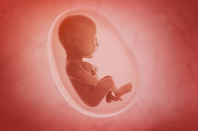 2021年了，你真的搞懂储存胎盘的意义了吗？
