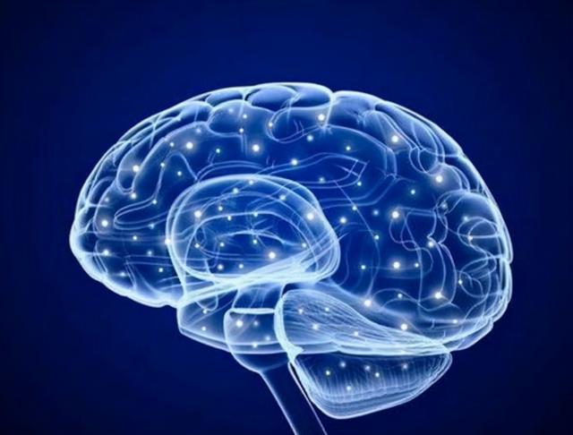 智商是靠“先天遗传”还是“后天培养”？天才宝宝这样养出来