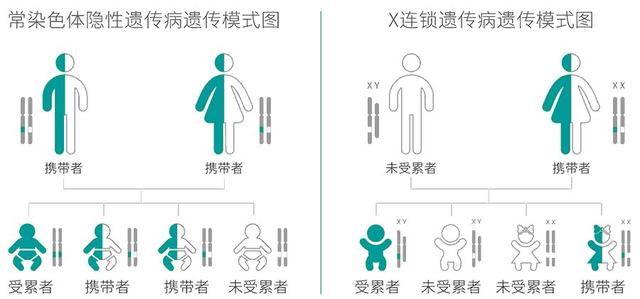 『超级宝妈』父母眼睁睁看着4个月女儿石化：不能动，不能进食，直至不能呼吸