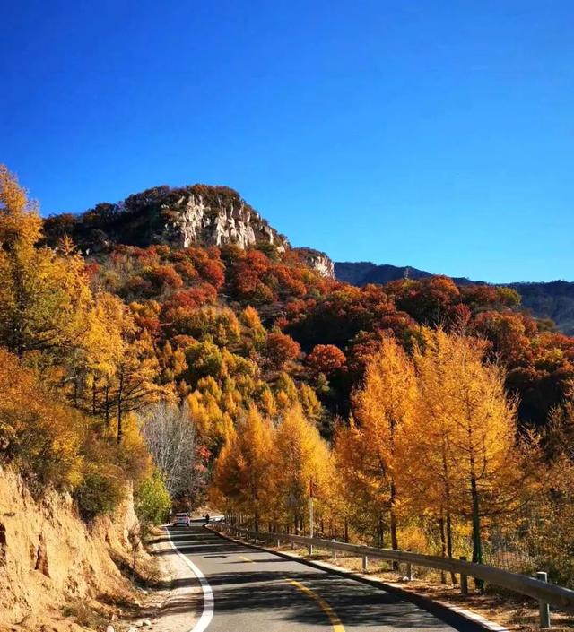 十年存储路，宏杉科技再创新“高”