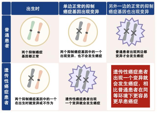 癌症到底是不是有遗传？先天性基因突变？