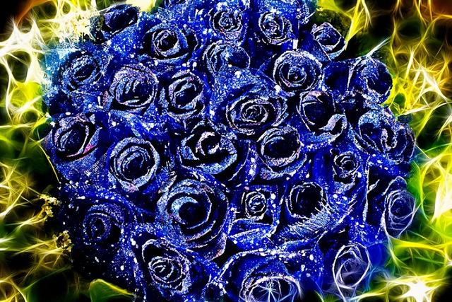 大咖分享 | 蓝色花境植物有那些？