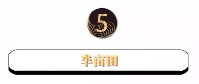 松江人，还没想好年夜饭去哪吃？看这篇文章就够啦→