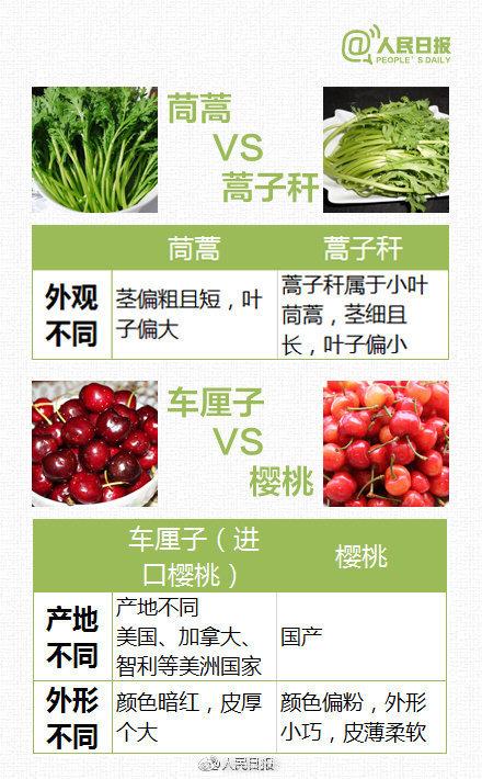 分得清|这些“近似食物”你分得清吗？