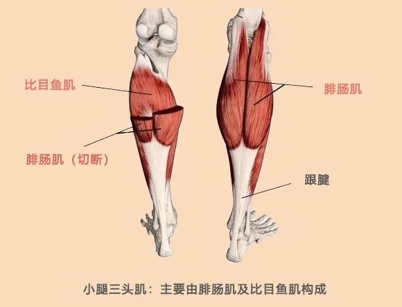 足跟痛有3大“警告”！这样处理才最安全