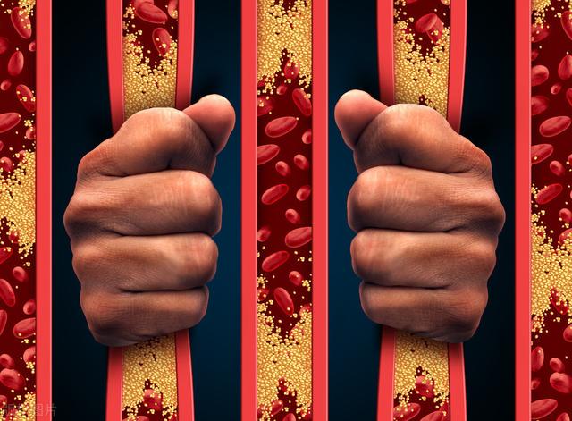 低密度蛋白高了，血管已经“堵”了吗？医生一讲，全明白了