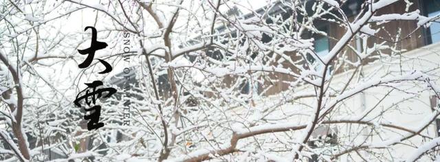 二十四节气 · 大雪 | 新品发布
