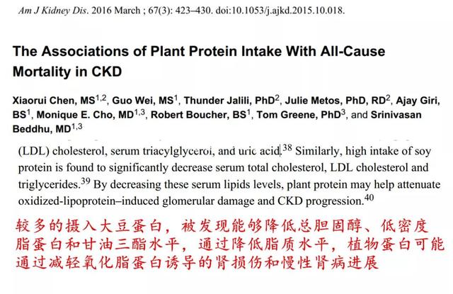 新英格兰医学期刊：豆腐补肾，还有5大好处，应该多吃