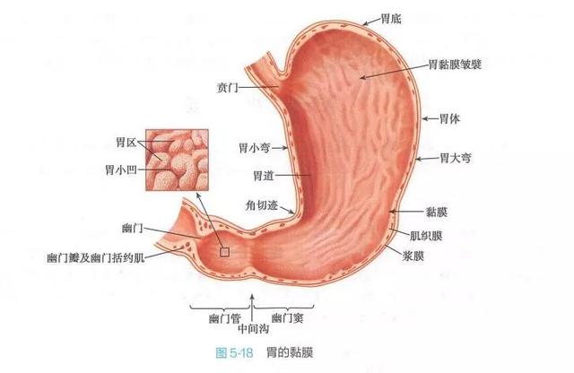 超级宝妈：儿科医生手记：三个月大的宝宝，因为异常吐奶差点丢了命