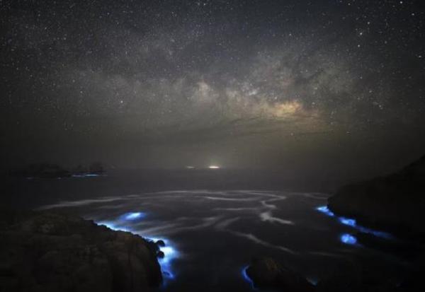 惊艳!“蓝眼泪”奇观再现浙江|光明网