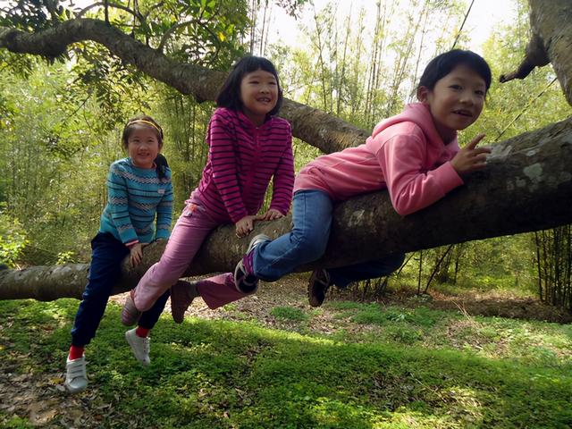 产科医生暗示胎儿性别太委婉了，这些巧妙提问，孕妈要学起来