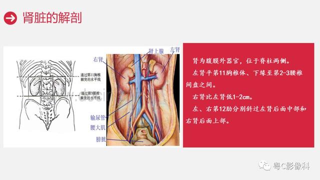 泌尿系CTU扫描技术