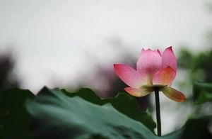 Three Things to Do When Things Go Wrong