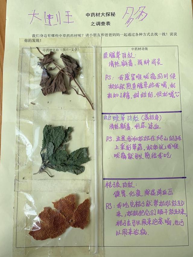 佛手|当孩子遇到佛手，会一场怎样的深秋邂逅？既是非同寻常的中医体验，更是传承着中华文化