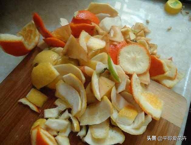 鸡蛋壳|还在买花肥？这“3种垃圾”扔盆里，肥效足，植物生长快、易爆盆