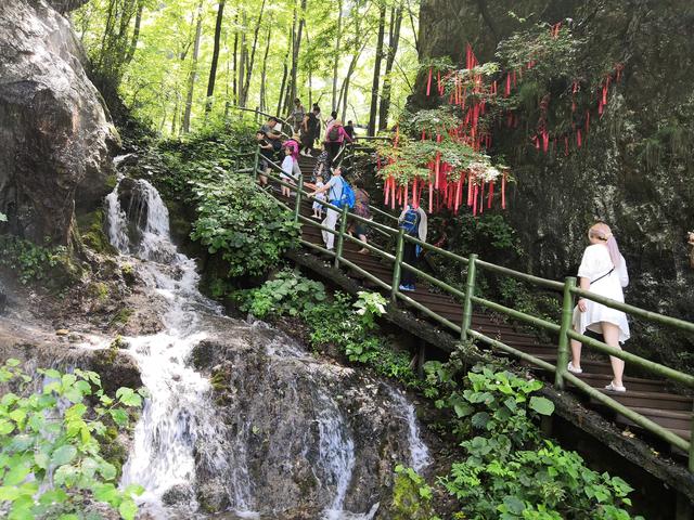 河南小众旅游景点:4a景区洛阳王府竹海的夏天,没有任何二次消费