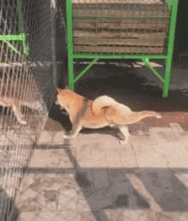 搞笑gif合集:拖拉机,给我一个车斗我能拉走一个地球