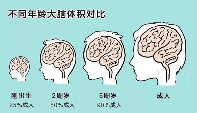 哈佛研究发现：孩子一生有3次变聪明的机会，但并不是“初中”