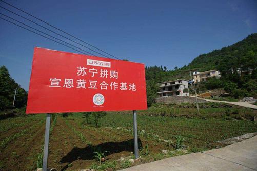 北青网：为湖北农户全网带货后，苏宁发布13条举措全场景援鄂