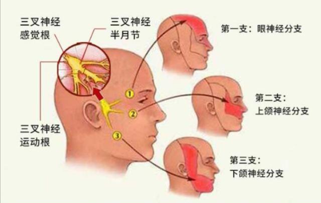 青水木禾养生|孙女出国第五天，她从十五楼跃下，是什么让她舍弃了幸福的家？