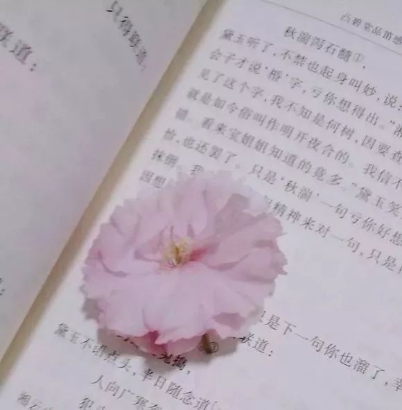 「暖先生格调」26张图记录一位初三生的备考历程：中考很苦，我们都一样