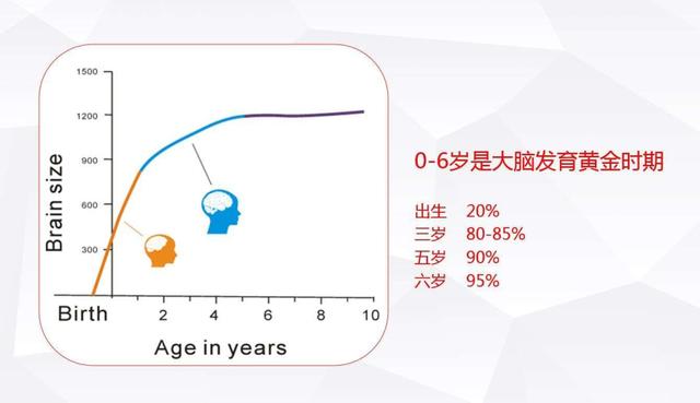 妈妈的血型会影响娃的智商吗？斯坦福大学研究：这个血型占优势