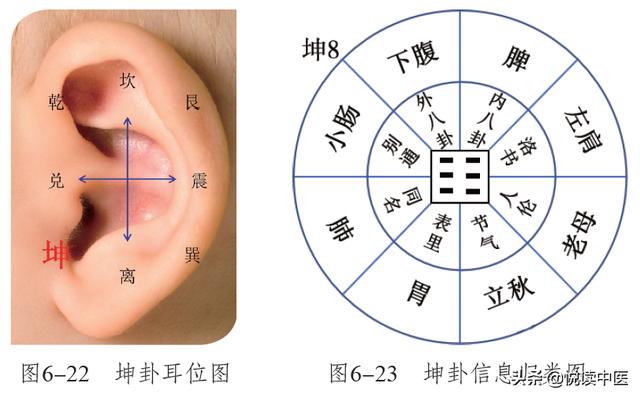 肩周炎反复发作，这些耳穴能缓解