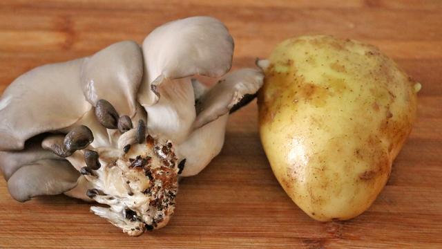 平菇加土豆一起做，真是太解馋了，天天吃都不腻，比红烧肉还香