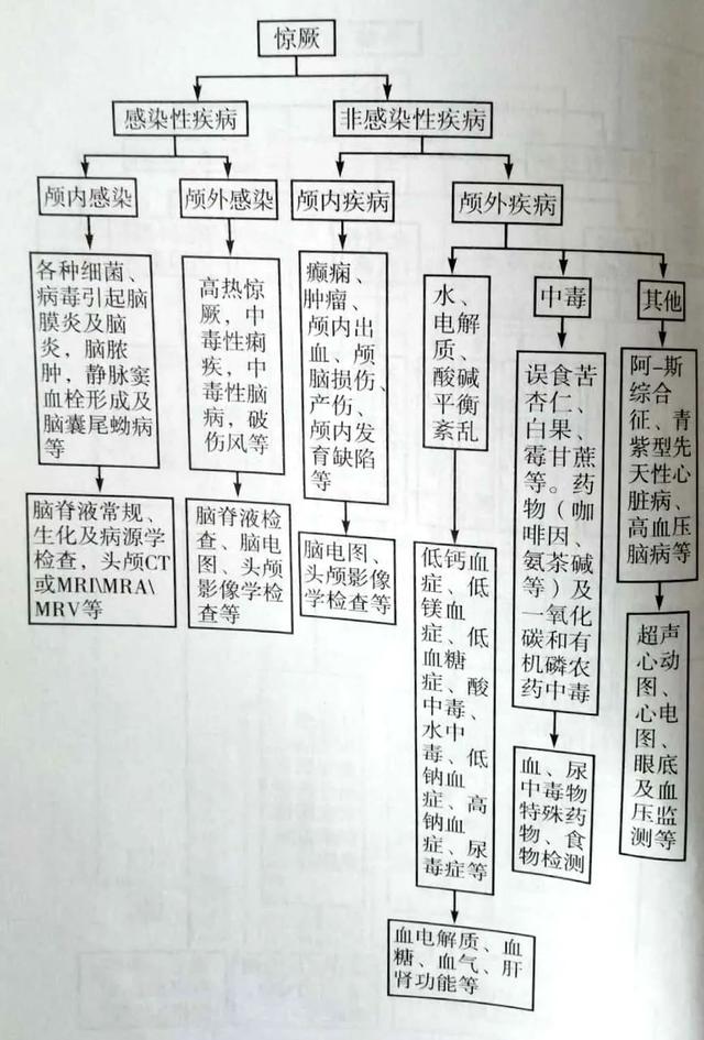 「你的育儿经」孩子忽然高热伴抽搐，把午饭都吐了……竟是这个常见病