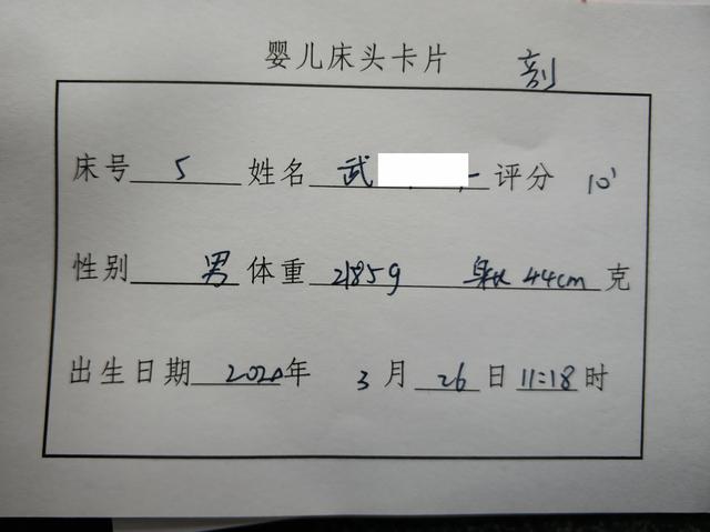 你的育儿经@奶牛妈妈与送奶工日记之开篇——龙凤胎宝宝诞生记