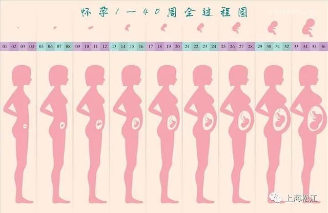 孕产妇|孕妇增重过多，危害有这些……