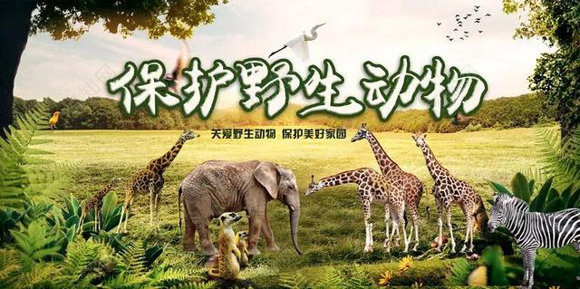 「超级宝妈」疫情当下，和孩子谈谈自然生命教育