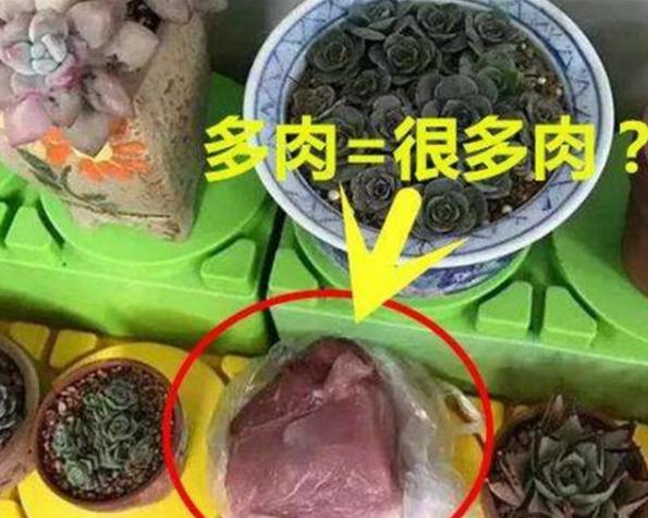你的育儿经|幼儿园让孩子“画鱼”，爷爷帮孙子“作弊”，网友：想要同款爷爷