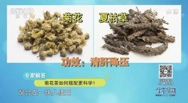 菊花|春季用“它”泡水喝，帮你清火保肝健康一整年