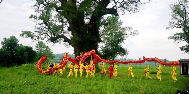 游泳|追光 | 不宅家、不玩手游，农村娃暑期玩什么？