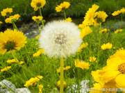 Don't Patronize Those Without Gratitude; Don't Nurture Those Without Heartfelt Thanks