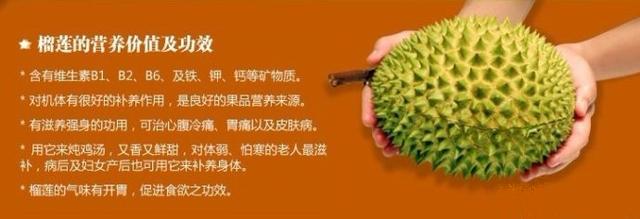 【你的育儿经】为什么有人说孕妇吃榴莲有好处?