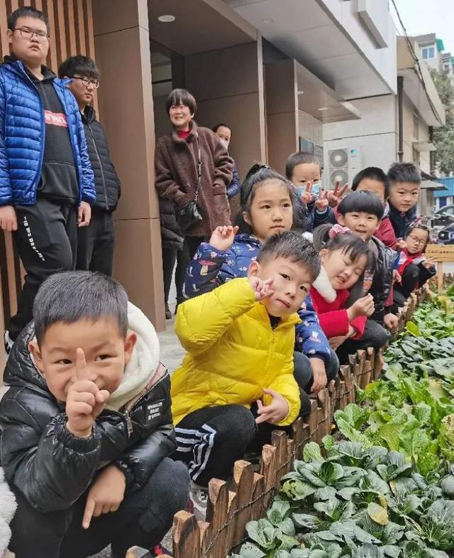 哈灵！自带“滤镜”的居家式邻里空间让人弹眼落睛